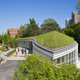 Illustration for article titled The 11 Best American-Designed Buildings of The Year
